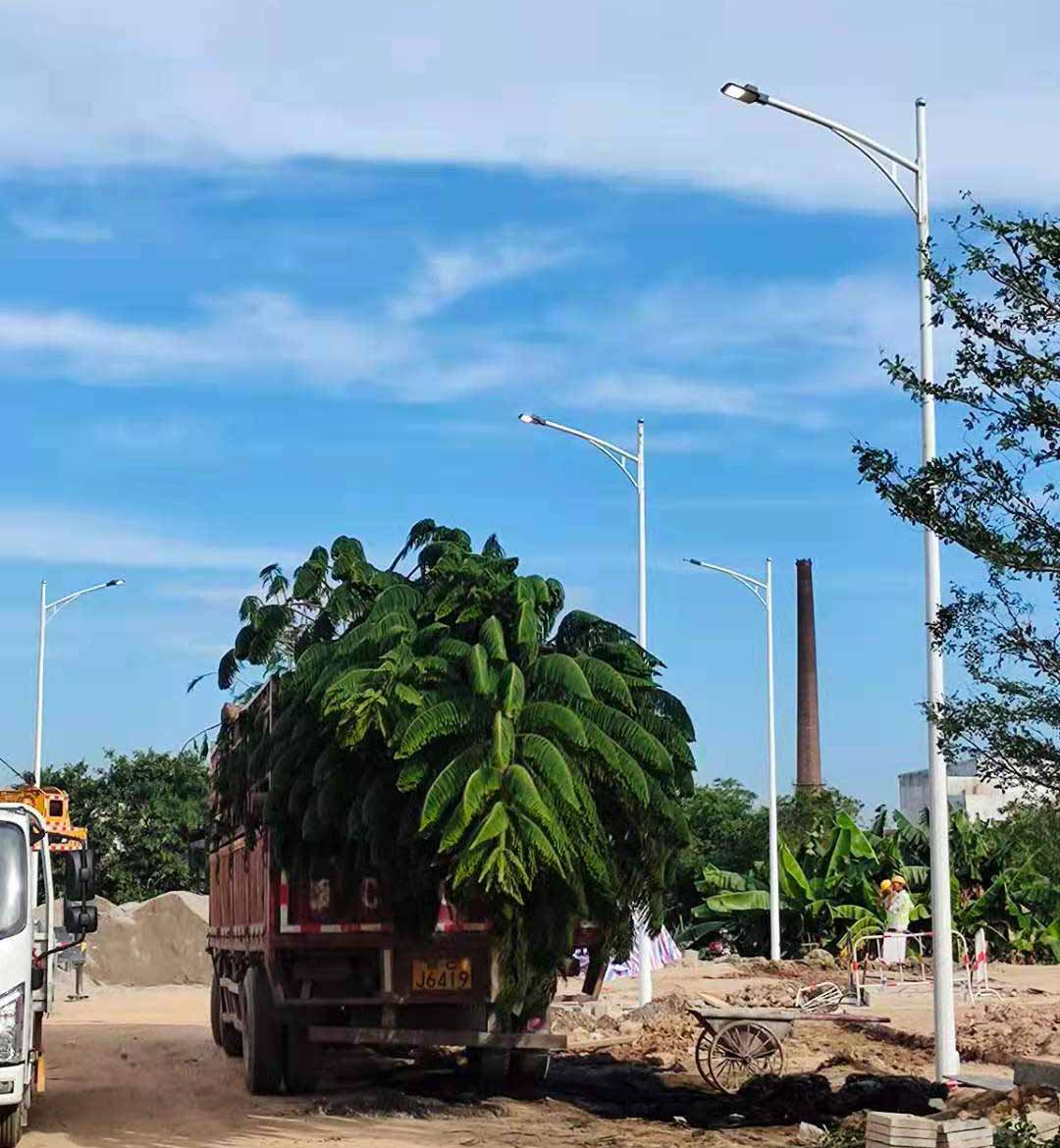 玩球在线注册,玩球(中国)助力东莞洪梅万科星城道路亮化工程